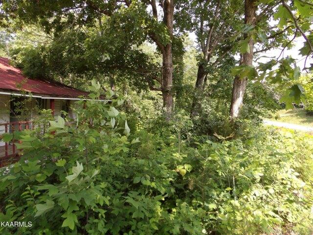 Plot For Sale In Celina, Tennessee