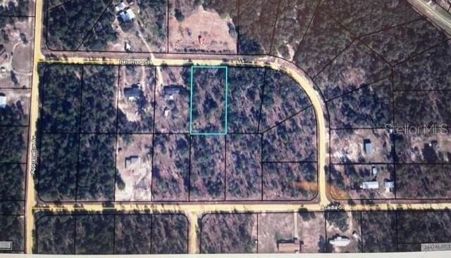 Plot For Sale In Keystone Heights, Florida