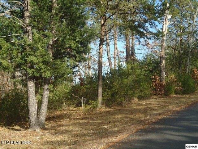 Plot For Sale In Dandridge, Tennessee