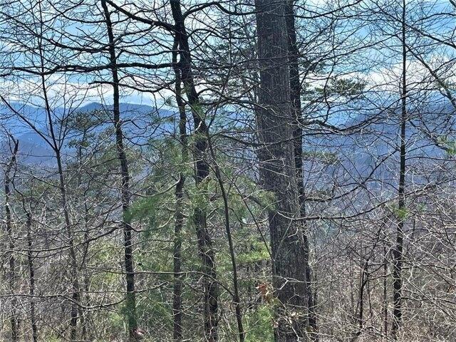 Plot For Sale In Sevierville, Tennessee