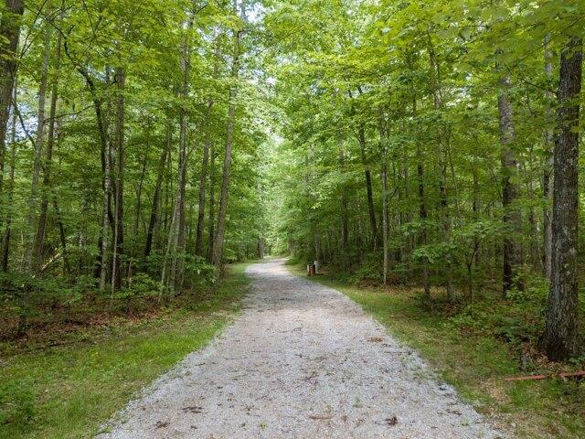Plot For Sale In Coalmont, Tennessee