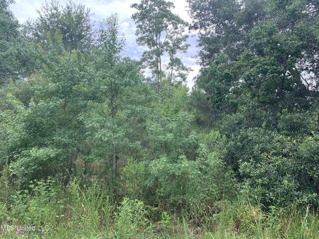 Plot For Sale In Bay Saint Louis, Mississippi