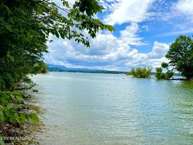 Plot For Sale In Baneberry, Tennessee