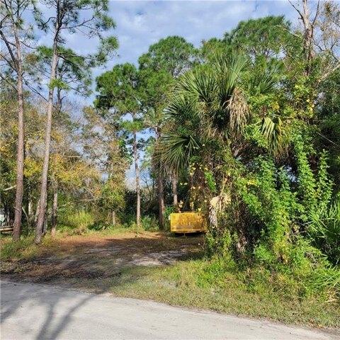 Plot For Sale In Fellsmere, Florida