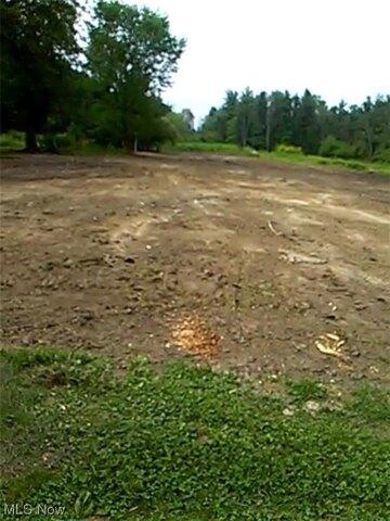 Plot For Sale In Newbury, Ohio