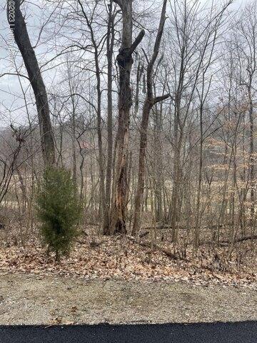 Plot For Sale In Leitchfield, Kentucky