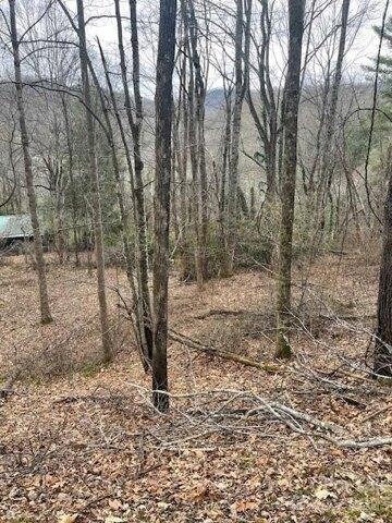 Plot For Sale In Waynesville, North Carolina