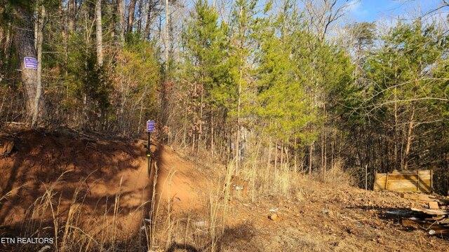 Plot For Sale In Vonore, Tennessee