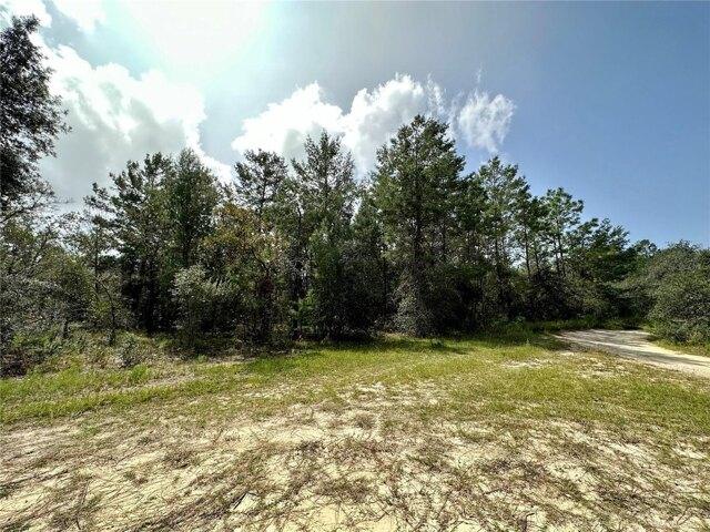 Plot For Sale In Dunnellon, Florida