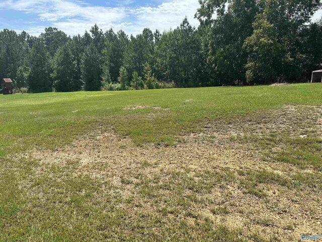 Plot For Sale In Hokes Bluff, Alabama