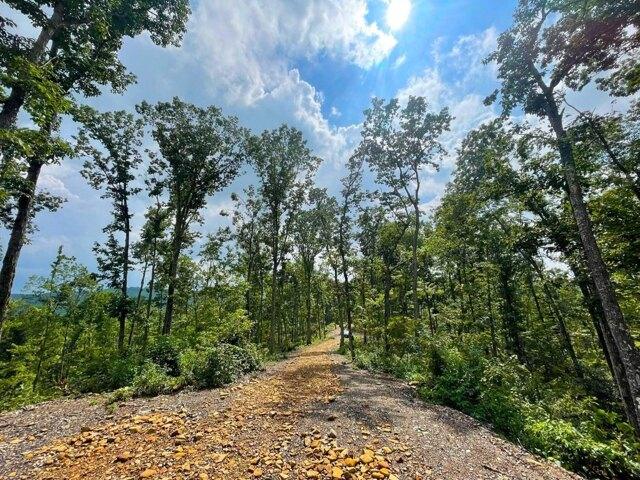 Plot For Sale In Peebles, Ohio