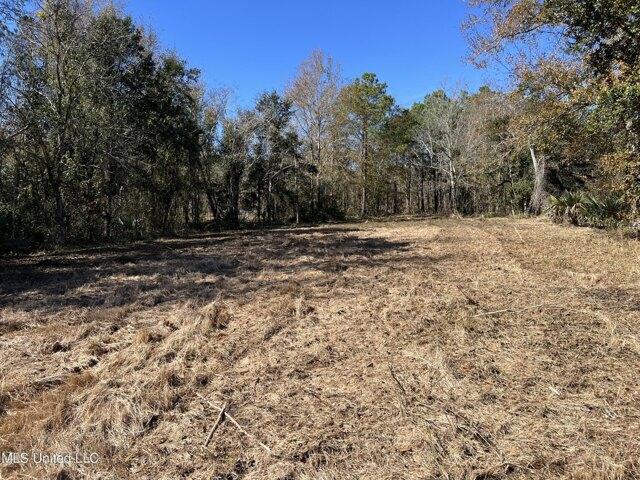 Plot For Sale In Bay Saint Louis, Mississippi