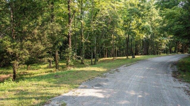 Plot For Sale In Silver Point, Tennessee