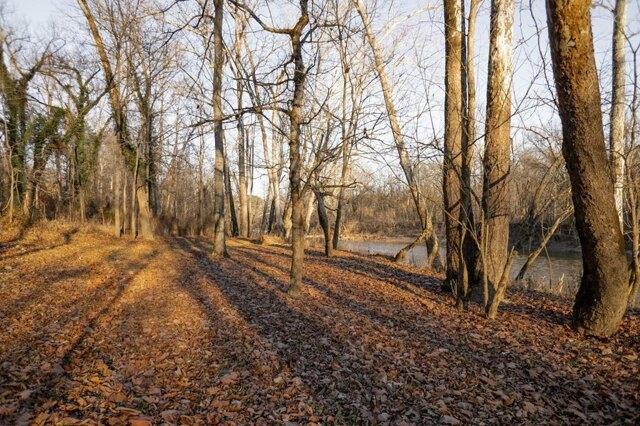 Plot For Sale In West Union, Ohio