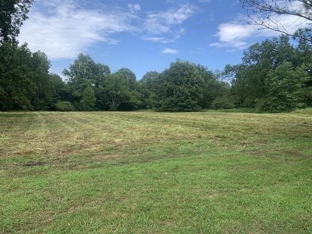 Plot For Sale In Grand Junction, Tennessee