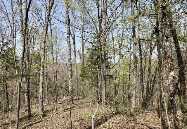 Plot For Sale In Madisonville, Tennessee