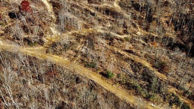 Plot For Sale In Oneida, Tennessee