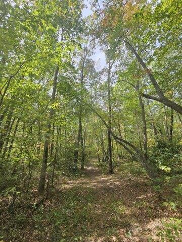 Plot For Sale In Tracy City, Tennessee