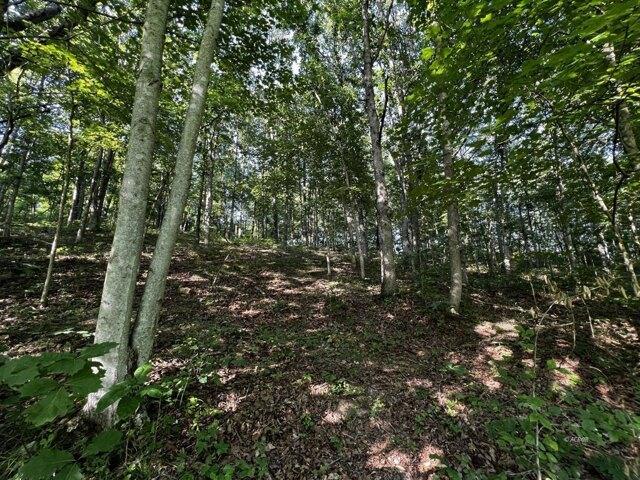 Plot For Sale In Wilkesville, Ohio