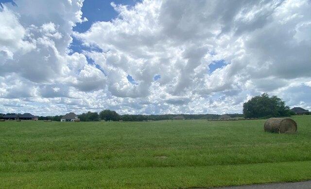 Plot For Sale In Columbus, Mississippi