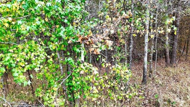 Plot For Sale In Sarah, Mississippi