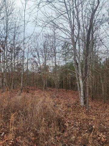 Plot For Sale In Ten Mile, Tennessee