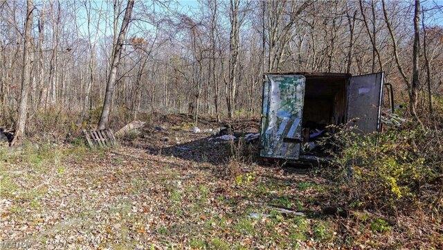Plot For Sale In Garrettsville, Ohio