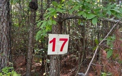 Plot For Sale In Turtletown, Tennessee