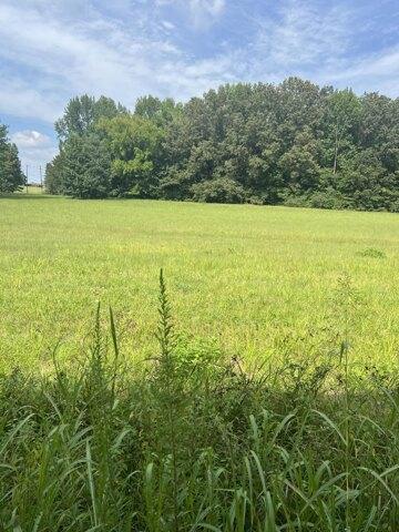 Plot For Sale In Jamestown, Kentucky