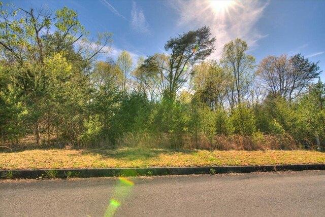 Plot For Sale In Mount Carmel, Tennessee