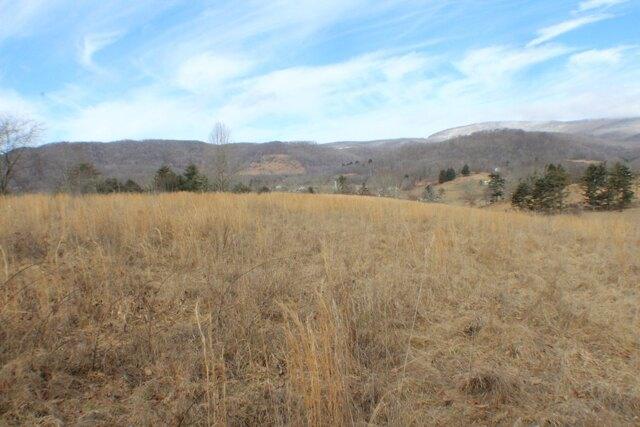 Plot For Sale In Marlinton, West Virginia
