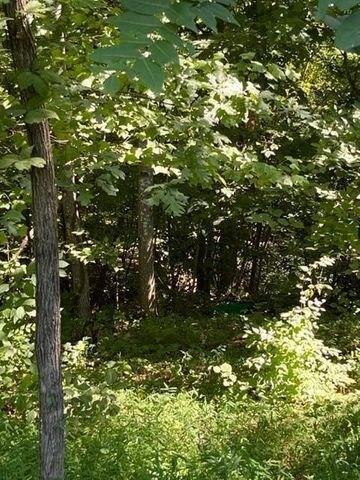 Plot For Sale In Nancy, Kentucky