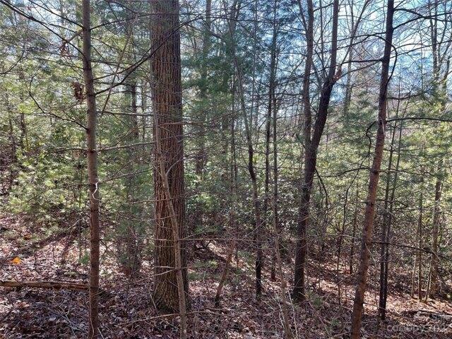 Plot For Sale In Zirconia, North Carolina