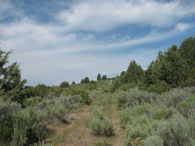 Oregon land 1.7 Acres Walk to River for Sale
