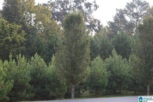 Plot For Sale In Sylvan Springs, Alabama