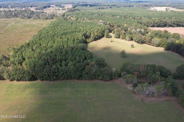 Plot For Sale In Pelahatchie, Mississippi