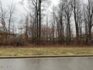 Plot For Sale In Findlay, Ohio