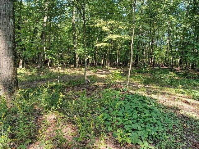 Plot For Sale In Lowellville, Ohio