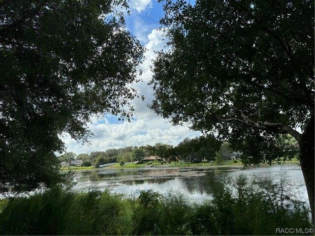 Plot For Sale In Inverness, Florida
