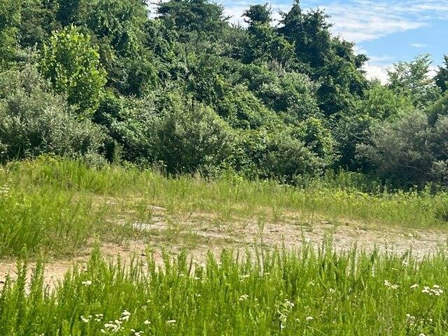 Plot For Sale In Robinson Creek, Kentucky