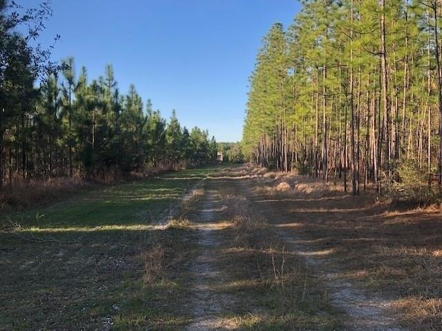 Plot For Sale In Saraland, Alabama