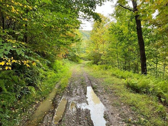 Plot For Sale In Rochester Mills, Pennsylvania