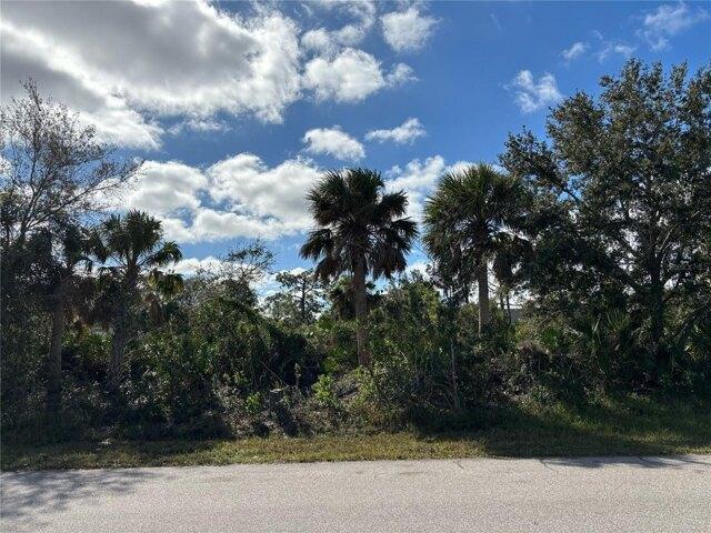 Plot For Sale In Port Charlotte, Florida