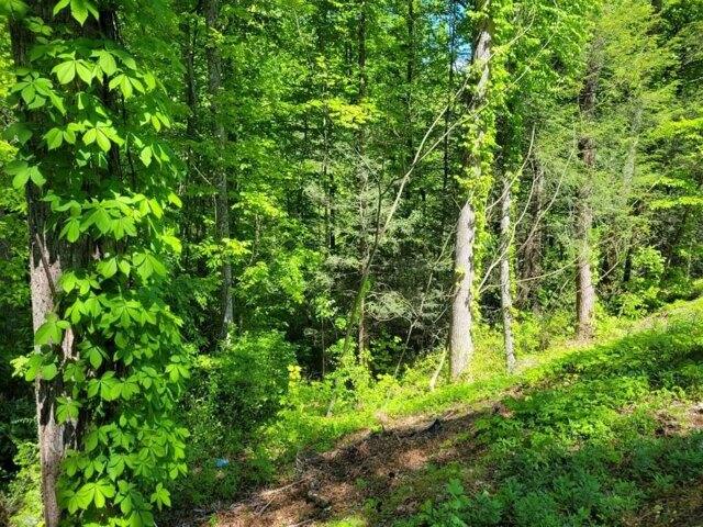 Plot For Sale In Gatlinburg, Tennessee