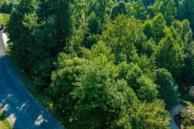 Plot For Sale In Unicoi, Tennessee