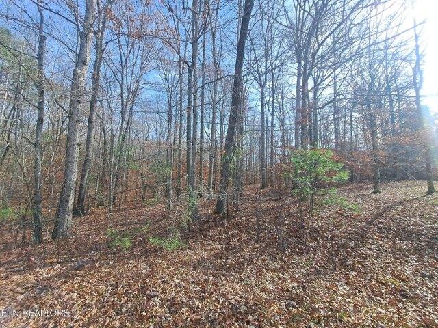 Plot For Sale In Oneida, Tennessee