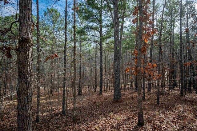 Plot For Sale In Greensboro, Georgia
