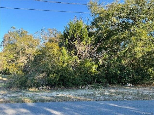 Plot For Sale In Homosassa, Florida