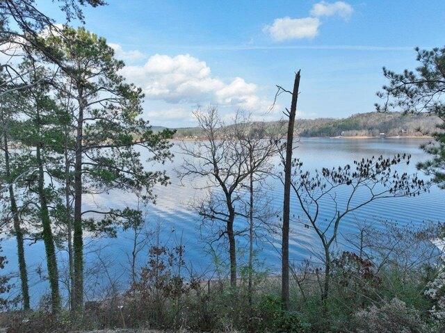Plot For Sale In Crane Hill, Alabama