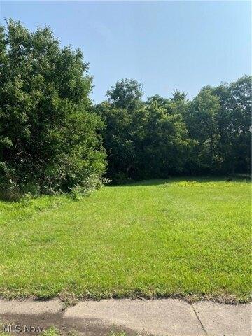 Plot For Sale In Youngstown, Ohio